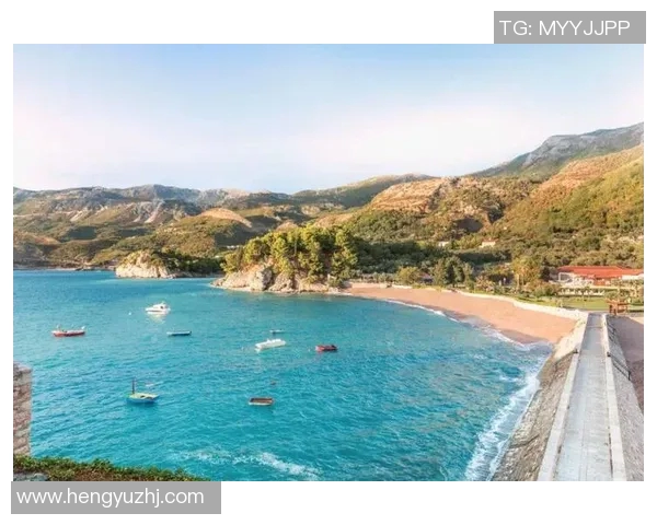 雷斯与阿里安曼的精彩对决分析及赛前预测展望